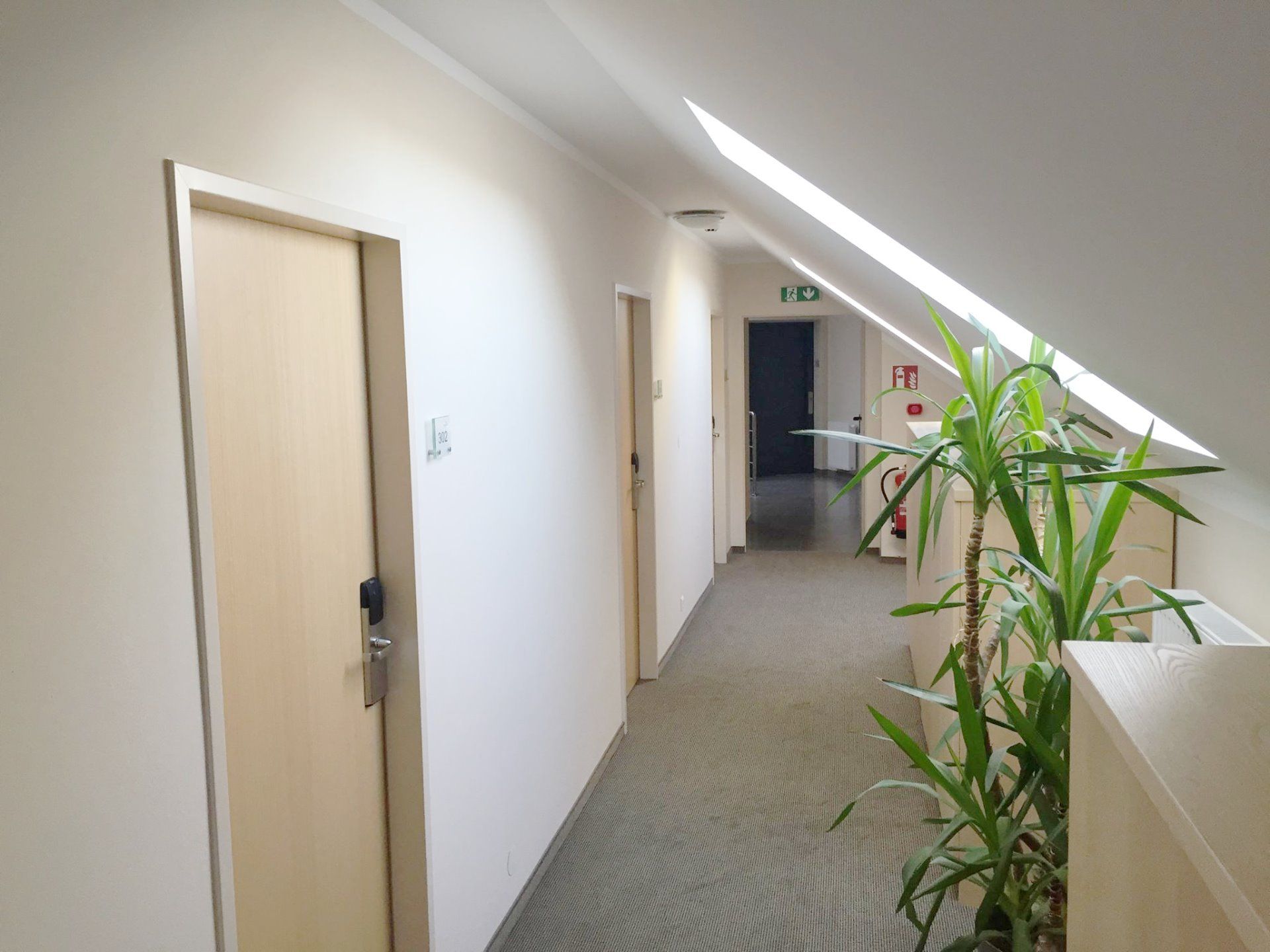 Hall