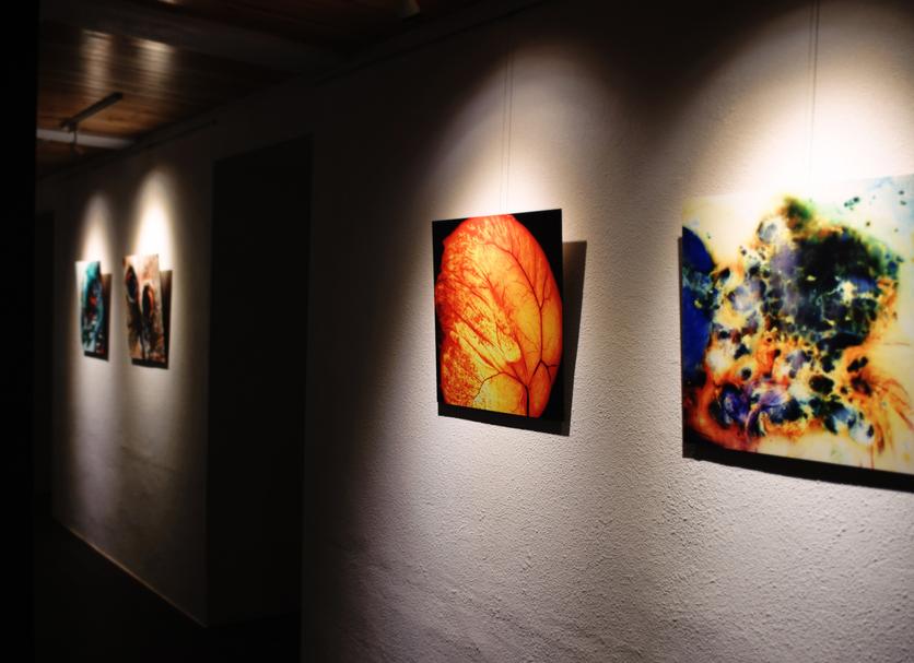 Hall Foto